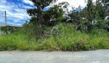 EXCELENTE TERRENO - PONTAL DO SUL