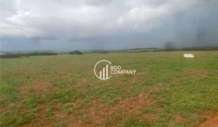 Fazenda à venda, 10700000 m² por R$ 55.000.000 - Zona Rural - Campinápolis/MT