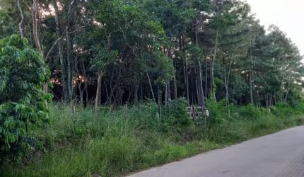 Terreno à venda na Rua Alberto Adolpho Fruchtenicht, 9, Campestre, São Leopoldo por R$ 144.000