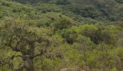 Terreno à venda na Serra Dos Rosa, 1, Zona Rural, Encruzilhada do Sul por R$ 381.600