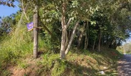 Terreno comercial para alugar na INTEGRACAO, 2814 - FEITORIA - SAO LEOPOLDO, 2814, Feitoria, São Leopoldo, 1464 m2 por R$ 1.000