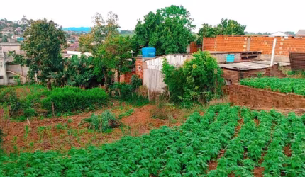 Terreno à venda na Rua Pirenópolis, Boa Saúde, Novo Hamburgo por R$ 120.000