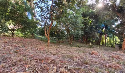 Terreno à venda na Rua Joaquim Caetano, Centro, Novo Hamburgo por R$ 1.070.000