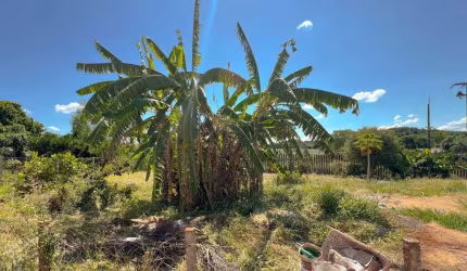 Terreno em Condomínio Fechado á Venda com 914m²