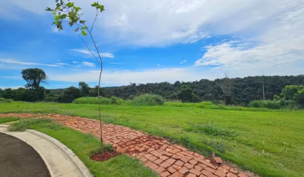 Terreno em Condomínio com 2.024m² à Venda