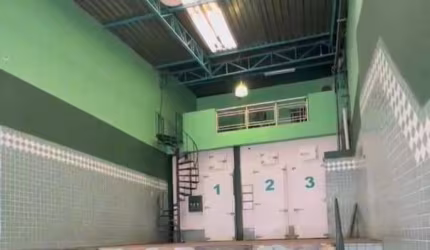 Galpão/Pavilhão Industrial para Aluguel em Jardim Almanara São Paulo-SP
