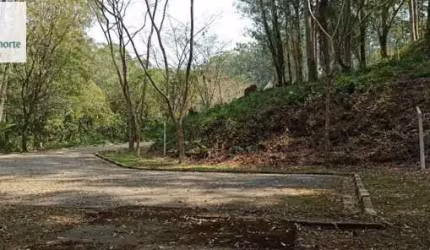 Terreno em Condomínio para Venda em Cachoeirinha São Paulo-SP