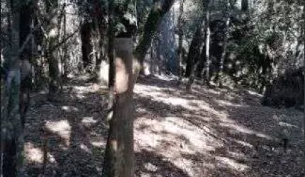 Terreno para chacara a venda em laranjeiras