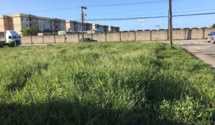 Excelente Terreno para Locação em Itajaí - SC