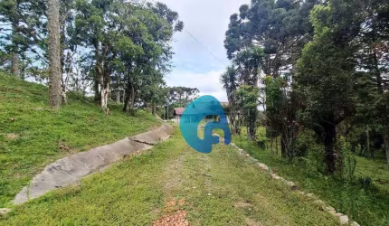 Chácara com 3 dormitórios à venda, 79358 m² por R$ 850.000,00 - Campo Alto - Tijucas do Sul/PR