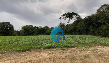 Chácara à venda, 20148 m² por R$ 700.000,00 - Felpudo - Campo Largo/PR