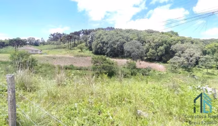 Terreno/área a venda, 20 Hectares em São Roque, Flores da Cunha RS