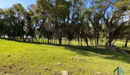 (PERMUTA) Chácara em Contenda PR, com 02 casas, estrada toda asfaltada a 20min, no Centro de Araucária.