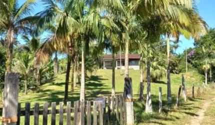 Chácara/Sítio, propriedade produtiva, 30 hectares com plantação de palmito pupunha, em Guaratuba PR