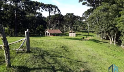 Chácara a venda, 142.134 M²,  Bugre, Balsa Nova PR