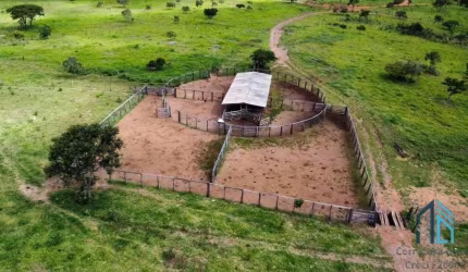 Fazenda com 168 alqueires goianos - 813 Hectares; - Município de Cocalzinho de Goiás GO