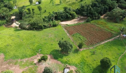 Fazenda localizada em Minaçu - GO a 70km da cidade de Goiânia - GO, com fácil acesso de carro.