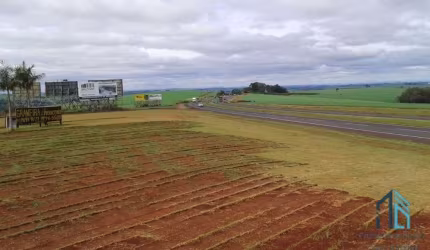 Terreno 92mil m², entre a Cidade de Rolândia e Arapongas, Rodovia 986 km 8 contorno sul de Rolândia PR