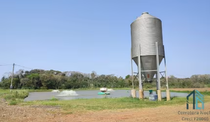 Sítio Produtivo de 5 alqueires, 7 tanques, em São Miguel do Iguaçu PR