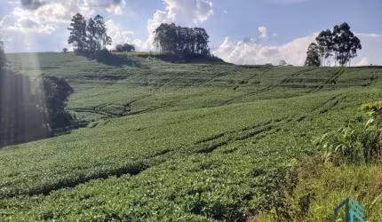 Sítio com 121.000 mil m² a venda, com Infra estrutura, no IRETEMA /Campo Mourão PR