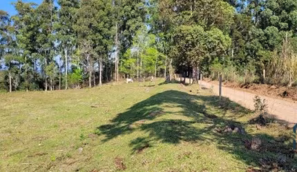 Chácara a venda 12.1 hectares, 02 casas e barracão, na água amarela em Chapecó - SC