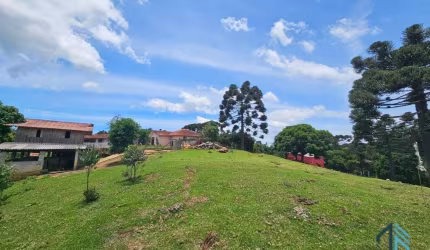 Chácara 04 casas, um comércio, tanque de peixes, ótimo investimento em  QUATRO BARRAS PR