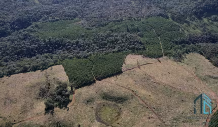 Terreno localização privilegiada, próxima à cidade e com potencial General Carneiro PR