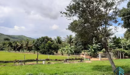 Fazenda linda 39 alqueires, com casa peão e casa sede, Município de Mossamedes GO