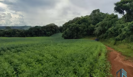 Terreno com 9,2 Alqueires, área verde ideal para plantio ou construção, em Campo Largo PR