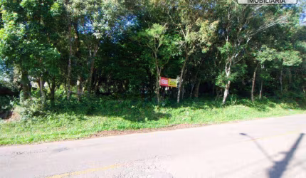Terreno à venda, 824 m² por R$ 779.000,00 - Aristocrata - São José dos Pinhais/PR