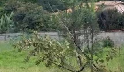 Lote / Terreno à venda em Belo Horizonte