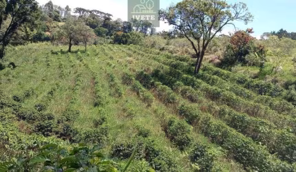 Terreno no Bairro da Lagoa - Oportunidade Única!