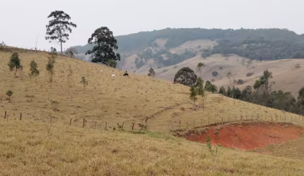 Terreno otimo