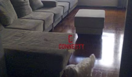 Apartamento com 3 quartos à venda, 164 m² por R$ 325.000 - Centro - Ribeirão Preto/SP