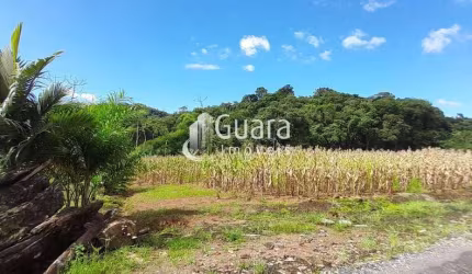 Chácara em Guaramirim no Amizade