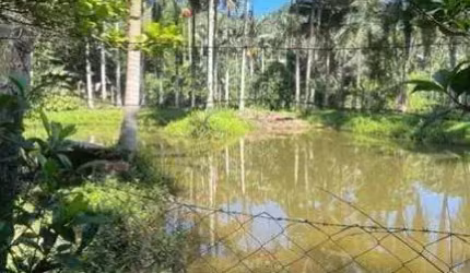 Chácara para Venda em Jaraguá do Sul / SC no bairro João Pessoa