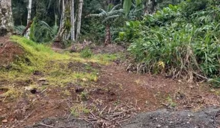 Chácara para Venda em Guaramirim / SC no bairro Amizade