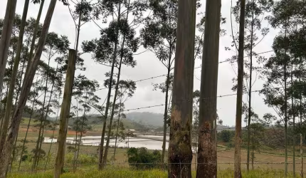Chácara para Venda em Guaramirim / SC no bairro Tibagi