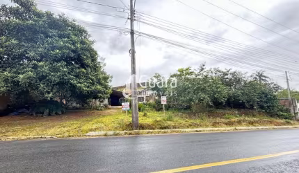 Terreno em Corticeira- 56