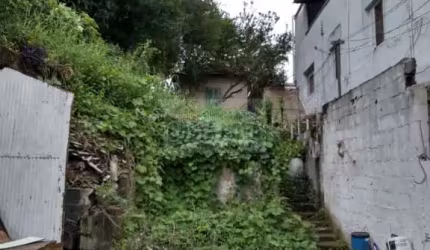 Terreno residencial com 320 m² à venda na Vila Maria Alta, para construir ou revitalizar
