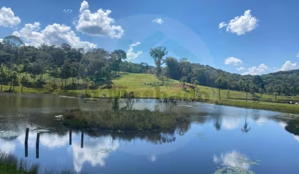 Chácara para Venda em Mandirituba, Ribeirão Velho