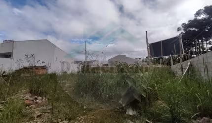 Terreno para Venda em Fazenda Rio Grande, Estados