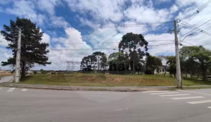 Terreno para Venda em Fazenda Rio Grande, Veneza