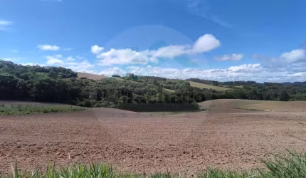 Chácara para Venda em Mandirituba, Campestrinho