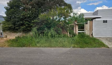 Terreno para Venda em Fazenda Rio Grande, Santa Terezinha