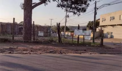 Terreno para alugar, 1700 m² por R$ 4.880,00/mês - Vila Nova - Porto Alegre/RS