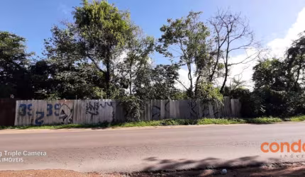 Terreno para alugar, 4900 m² por R$ 5.560,00/mês - Vila Nova - Porto Alegre/RS
