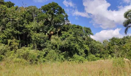 Terreno para Venda em São Bento do Sul, Rio Mandióca