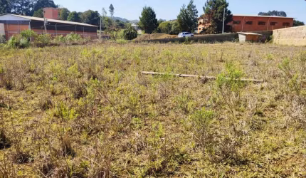 Terreno para Venda em São Bento do Sul, Centenário