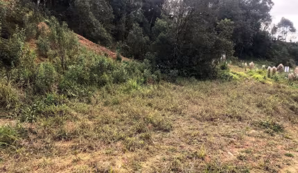 Terreno para Venda em São Bento do Sul, Rio Vermelho Estação